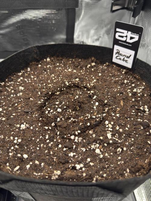 First Indoor Run. Week 1