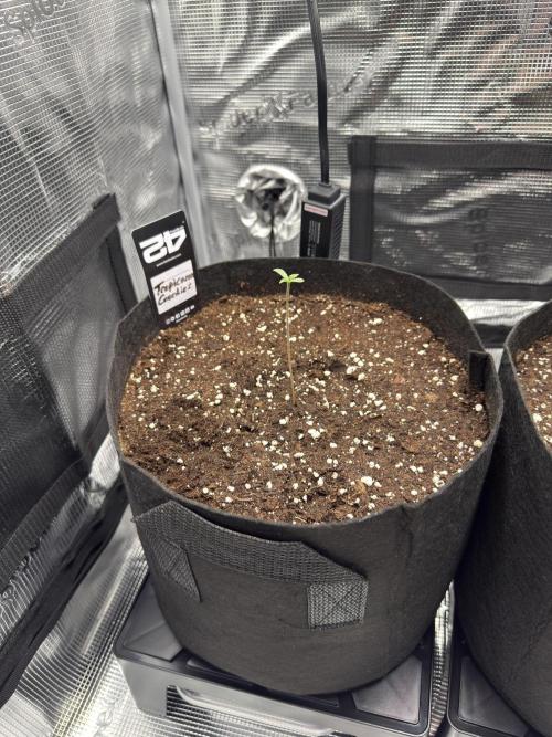 First Indoor Run. Week 1