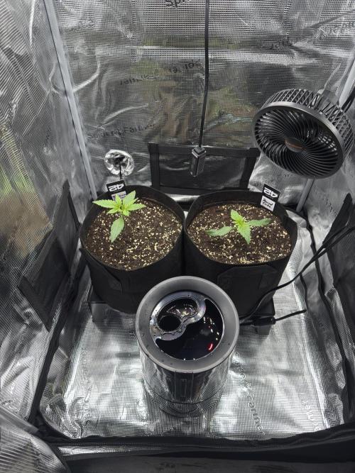 First Indoor Run. Week 2