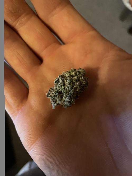 4x Original Oreoz x Greenception gcx4. Week 10 - sehr frisch