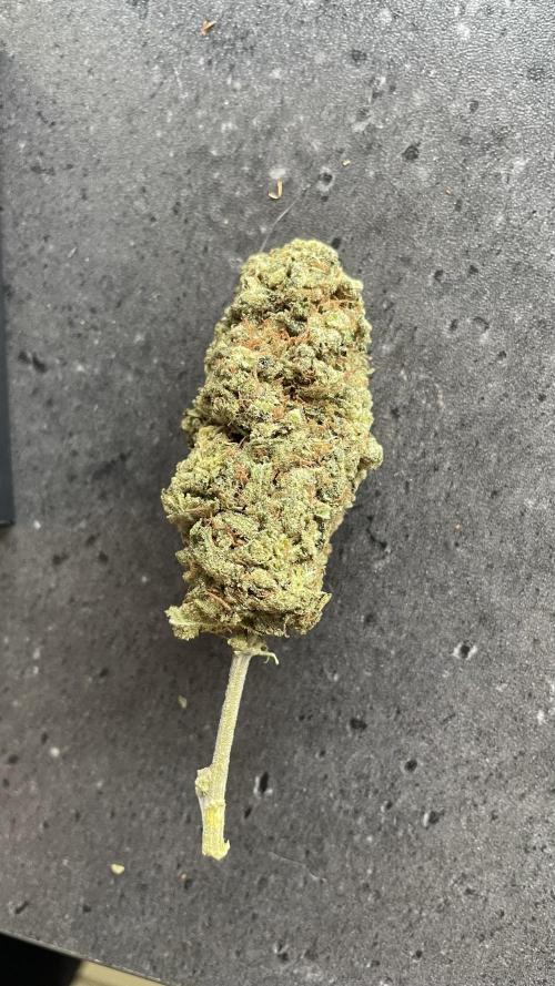 4x Original Oreoz x Greenception gcx4. Week 10 - aus dem zentrum 