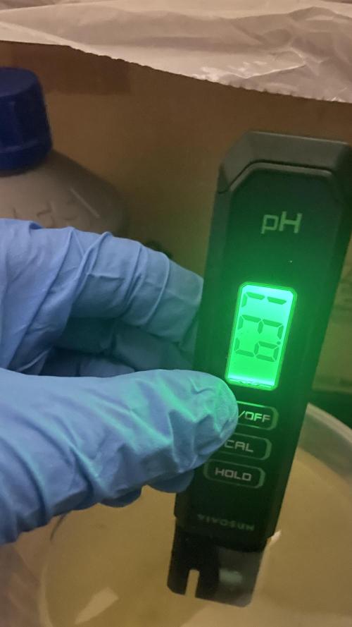 Viparspectra xs1500 pro @ Bruce Banner 3. Week 9 - Watered today with 2.5 liters the girls beginning to drink a lot i short time🔥