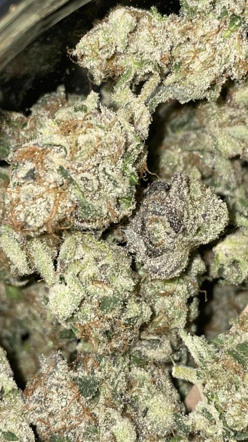 Bruce Banner 3 -Dark Horse-SUPERCROPPED. Week 15