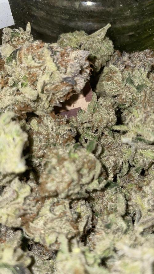 Bruce Banner 3 -Dark Horse-SUPERCROPPED. Week 15