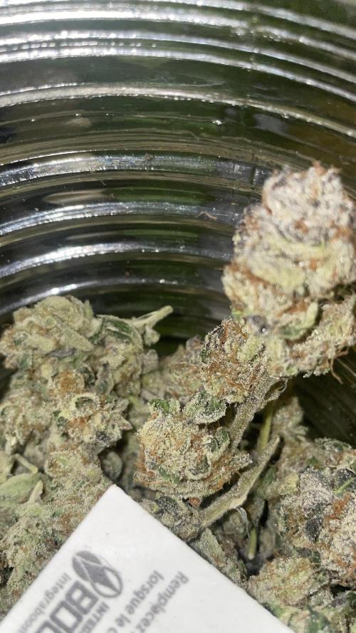 Bruce Banner 3 -Dark Horse-SUPERCROPPED. Week 15