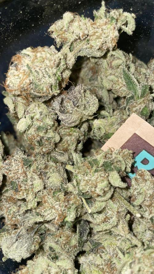 Bruce Banner 3 -Dark Horse-SUPERCROPPED. Week 15