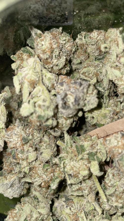 Bruce Banner 3 -Dark Horse-SUPERCROPPED. Week 15