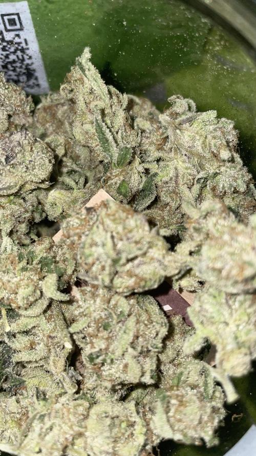 Bruce Banner 3 -Dark Horse-SUPERCROPPED. Week 15