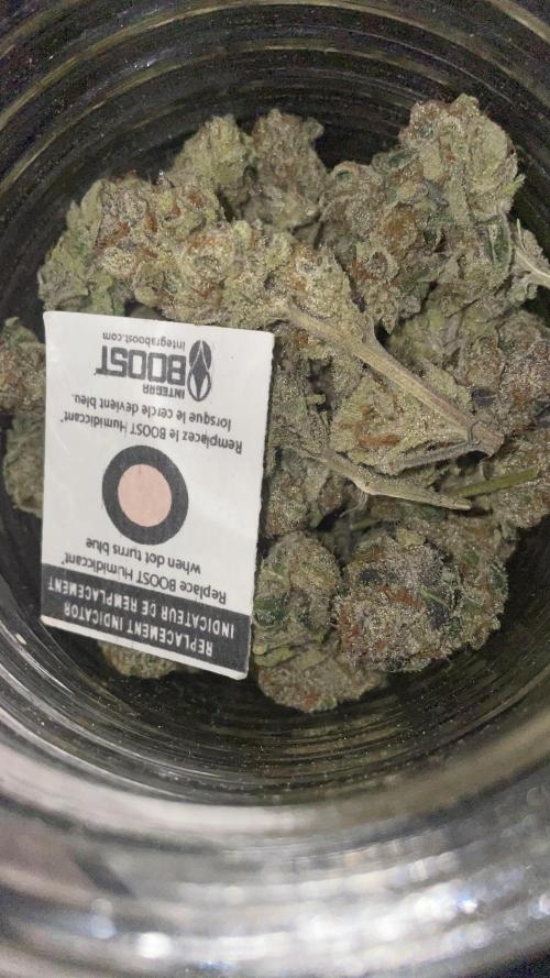 Bruce Banner 3 -Dark Horse-SUPERCROPPED. Week 15