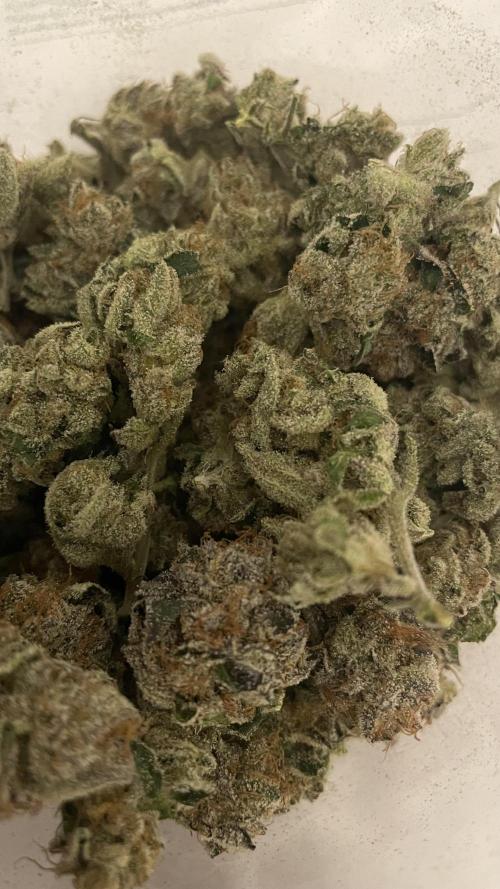 Bruce Banner 3 -Dark Horse-SUPERCROPPED. Week 15