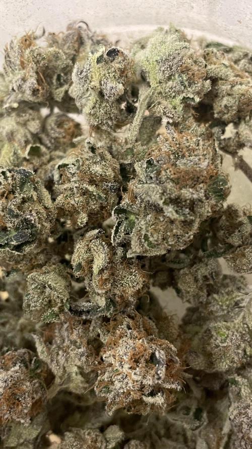 Bruce Banner 3 -Dark Horse-SUPERCROPPED. Week 15