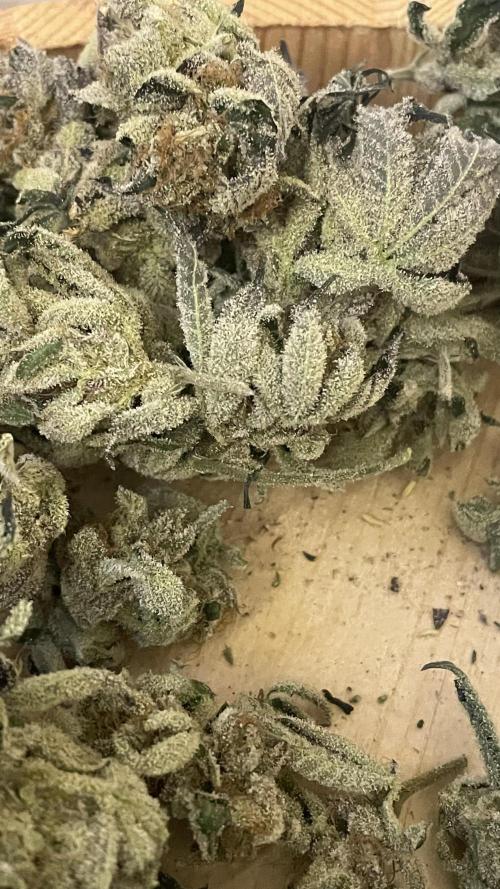 Bruce Banner 3 -Dark Horse-SUPERCROPPED. Week 15