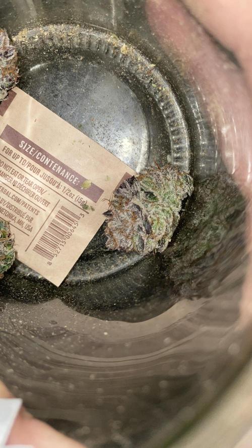 Bruce Banner 3 -Dark Horse-SUPERCROPPED. Week 15