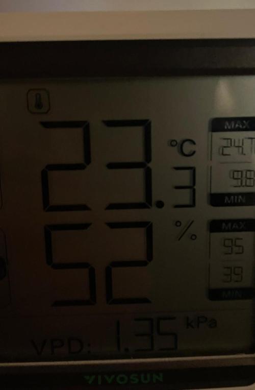 Sensi seeds - Critical runtz. Week 0