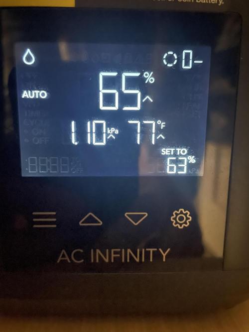 Sour Chem Nasty. Week 2