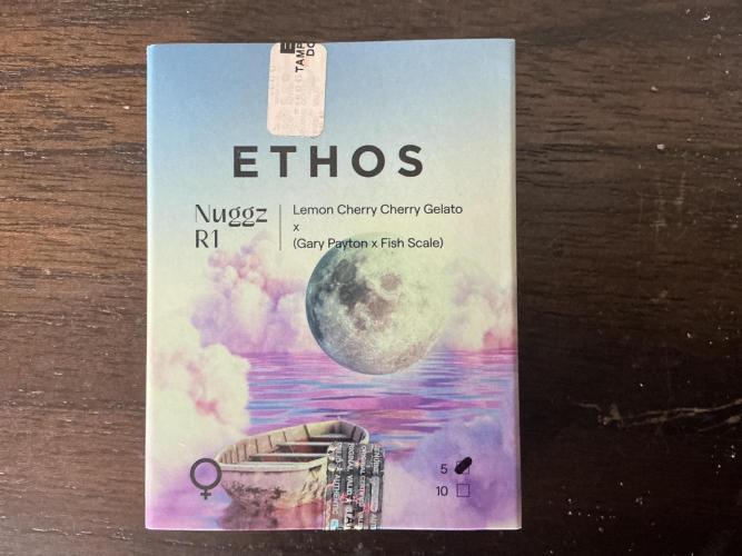 Day 1 of my first ever grow!. Week 0 - Just received in mail