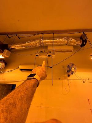 Comment by jobdone1 photo #1