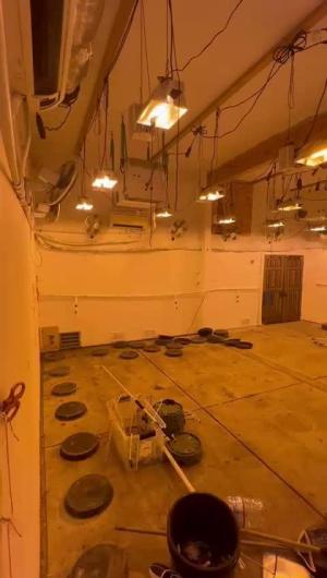 Comment by jobdone1 photo #1