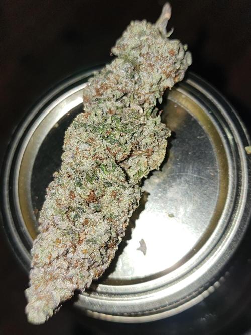 Jarjars Collection. Week 10