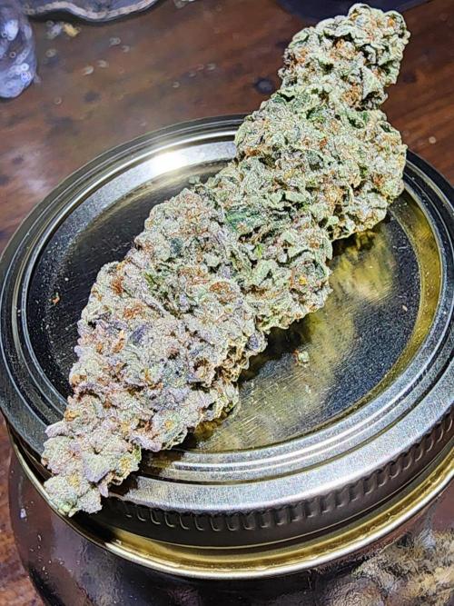 Jarjars Collection. Week 10