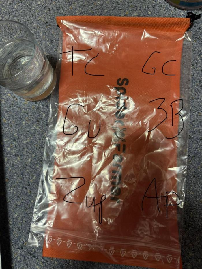 Grow #3 Fastbuds + Mephisto. Week 0