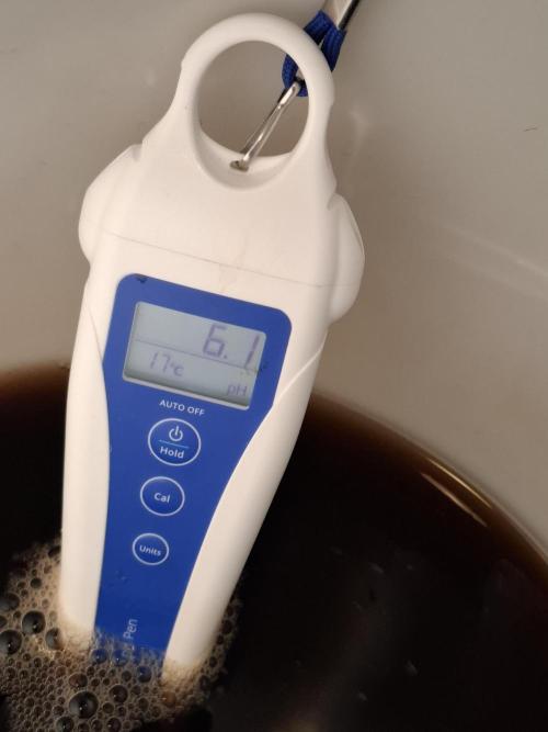 Mini-Pheno-Hunt - Urban Seedlab. Week 0