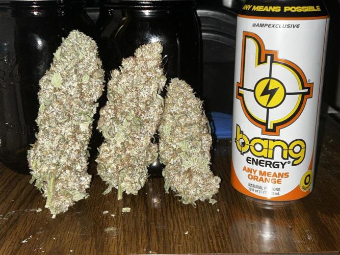 Purple sunset grow. Week 10