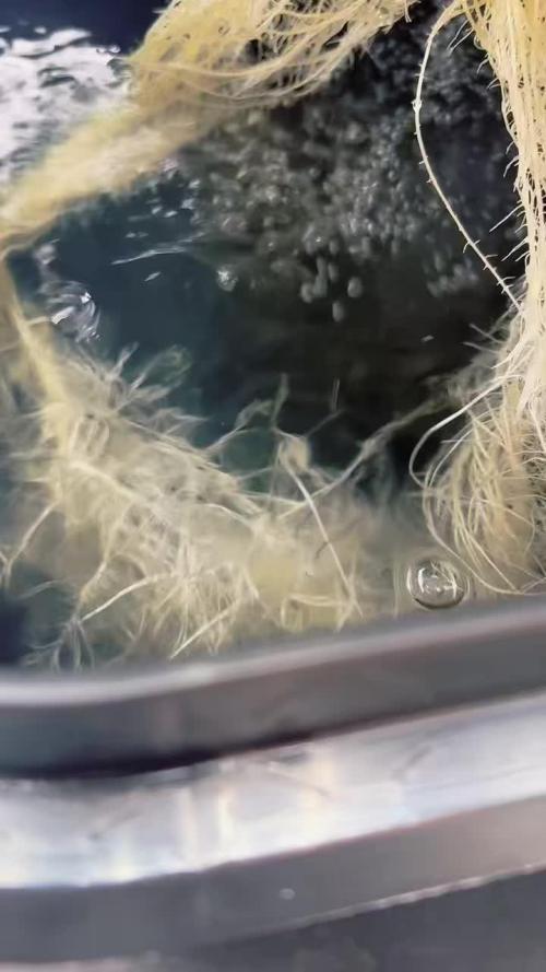 Black Powdered - RDWC