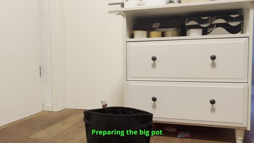 Ryu & Ken - Training Partners