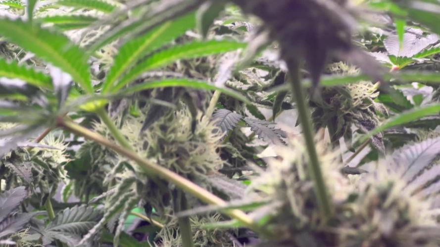 Ryu & Ken - Training Partners