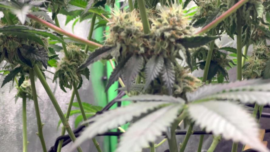 Ryu & Ken - Training Partners