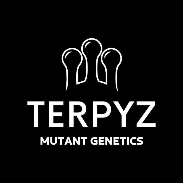 Cheddar Mintz by TerpyZ. Week 13