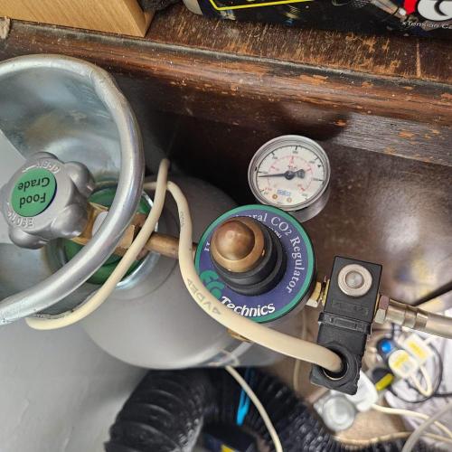 Black Domina. Week 4 - Unis C02 Reg