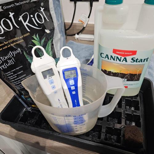 Northern Lights. Week 0