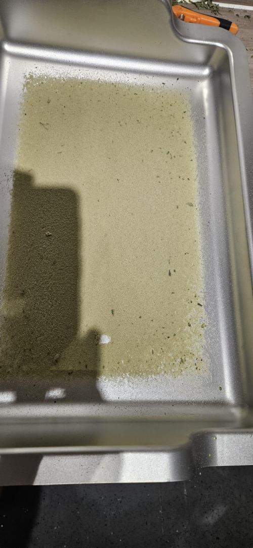 Black Domina #2. Week 15