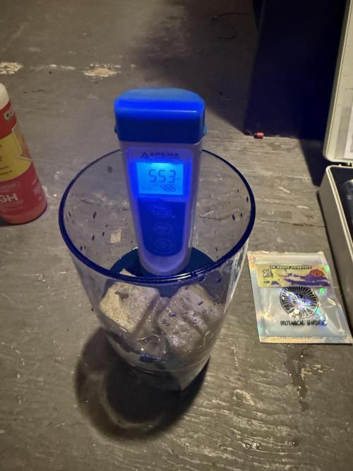 MOTHER PLANT. Week 0 - Rockwool soak

Spring water adjusted to 5.5Ph