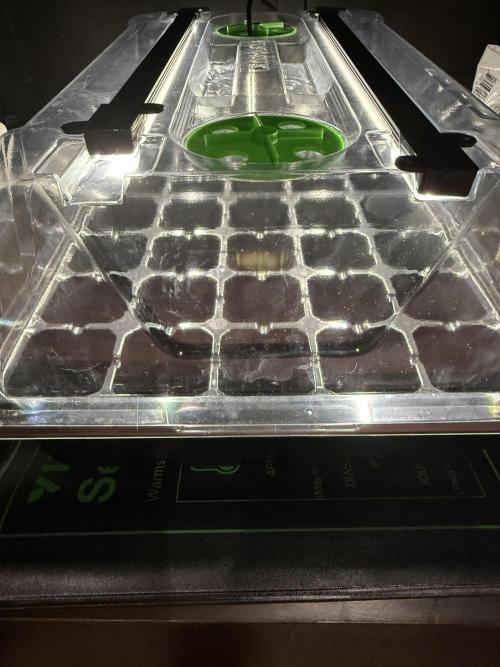 MOTHER PLANT. Week 0 - Planted 1/1/26 @11:50PM