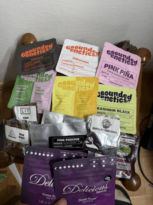 #2 Phenohunting!. Week 0 - I hope you like my selection! Some are missing!