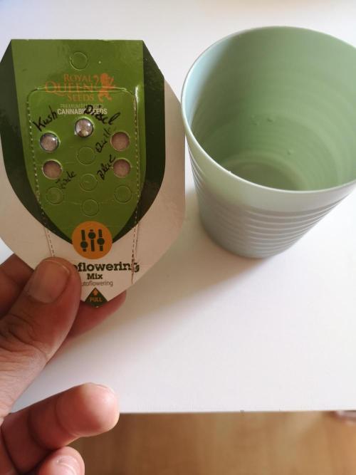 Outdoor 2025. Week 0