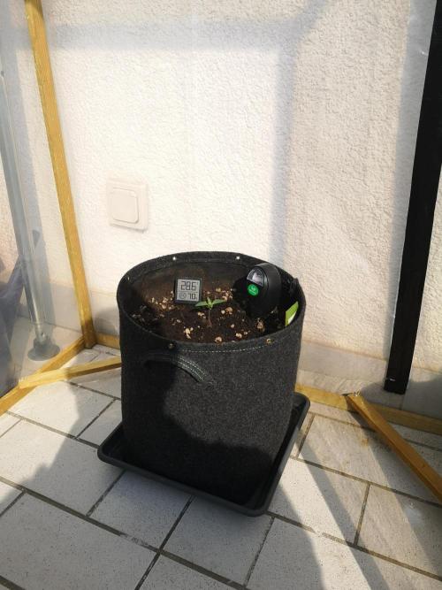 Outdoor 2025. Week 1