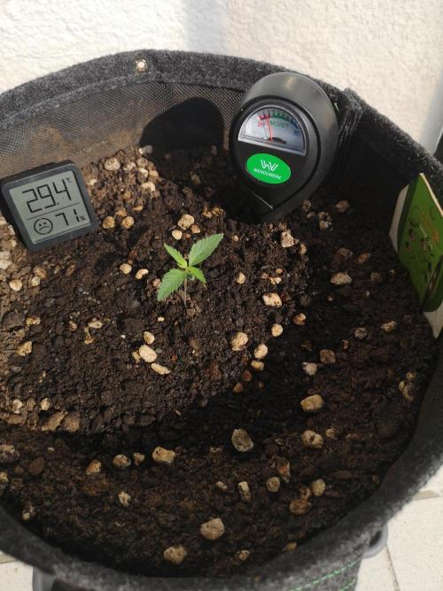 Outdoor 2025. Week 1