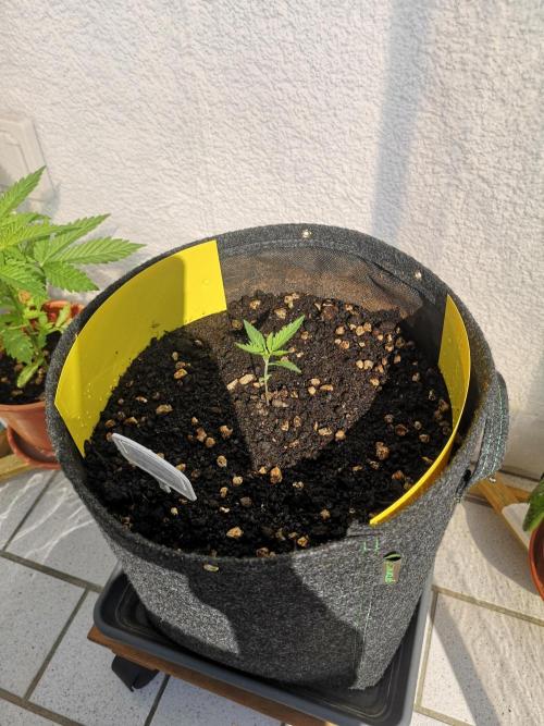 Outdoor 2025. Week 2