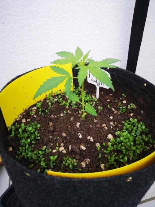 Outdoor 2025. Week 3