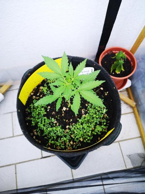 Outdoor 2025. Week 3