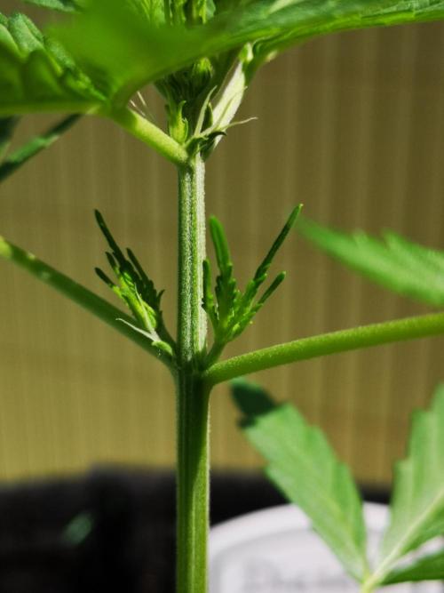 Outdoor 2025. Week 4