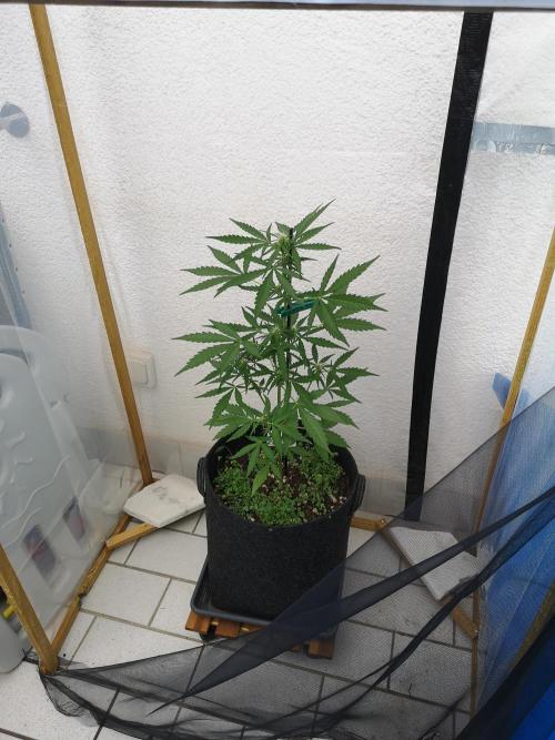 Outdoor 2025. Week 5