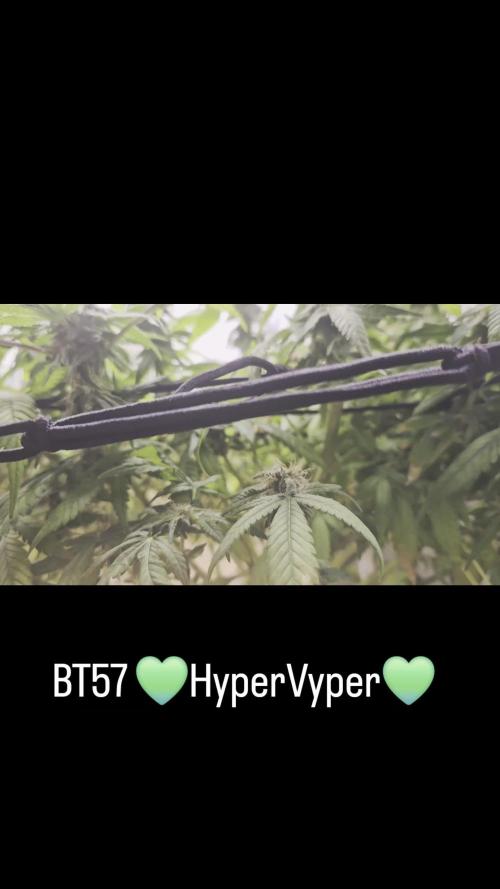 Hyper Vyper & Gulupa