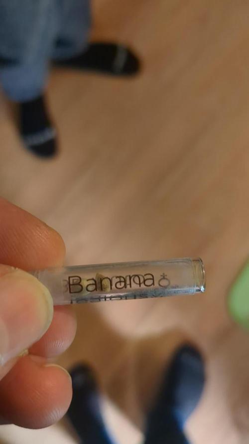 Banana Jealousy Auto IBL 80 Day