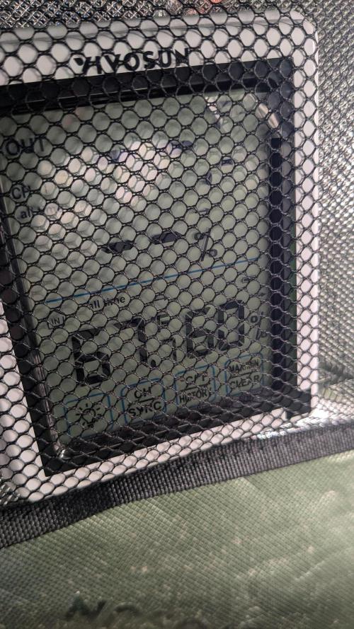 Banana Jealousy Auto IBL 80 Day. Week 2