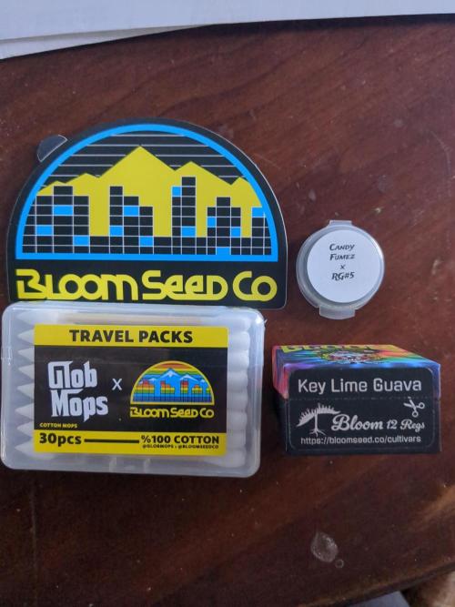 Key Lime Guava/Candy Fumez x RG #5. Week 0